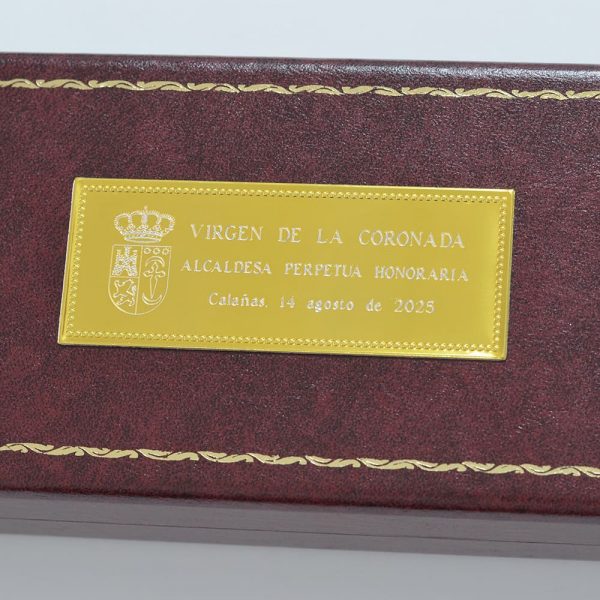 placa diseño gratis escudo ayuntamiento protocolo baston de mando