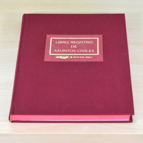 Libro Registro de Asuntos Civiles